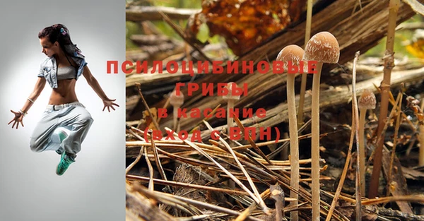 герыч Белокуриха