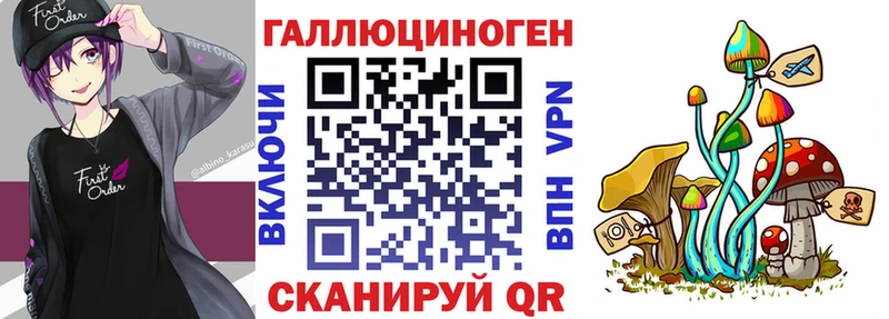 ссылка на мегу онион  Шилка  Галлюциногенные грибы мухоморы 